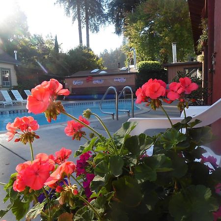 Riverlane Resort Guerneville Zewnętrze zdjęcie