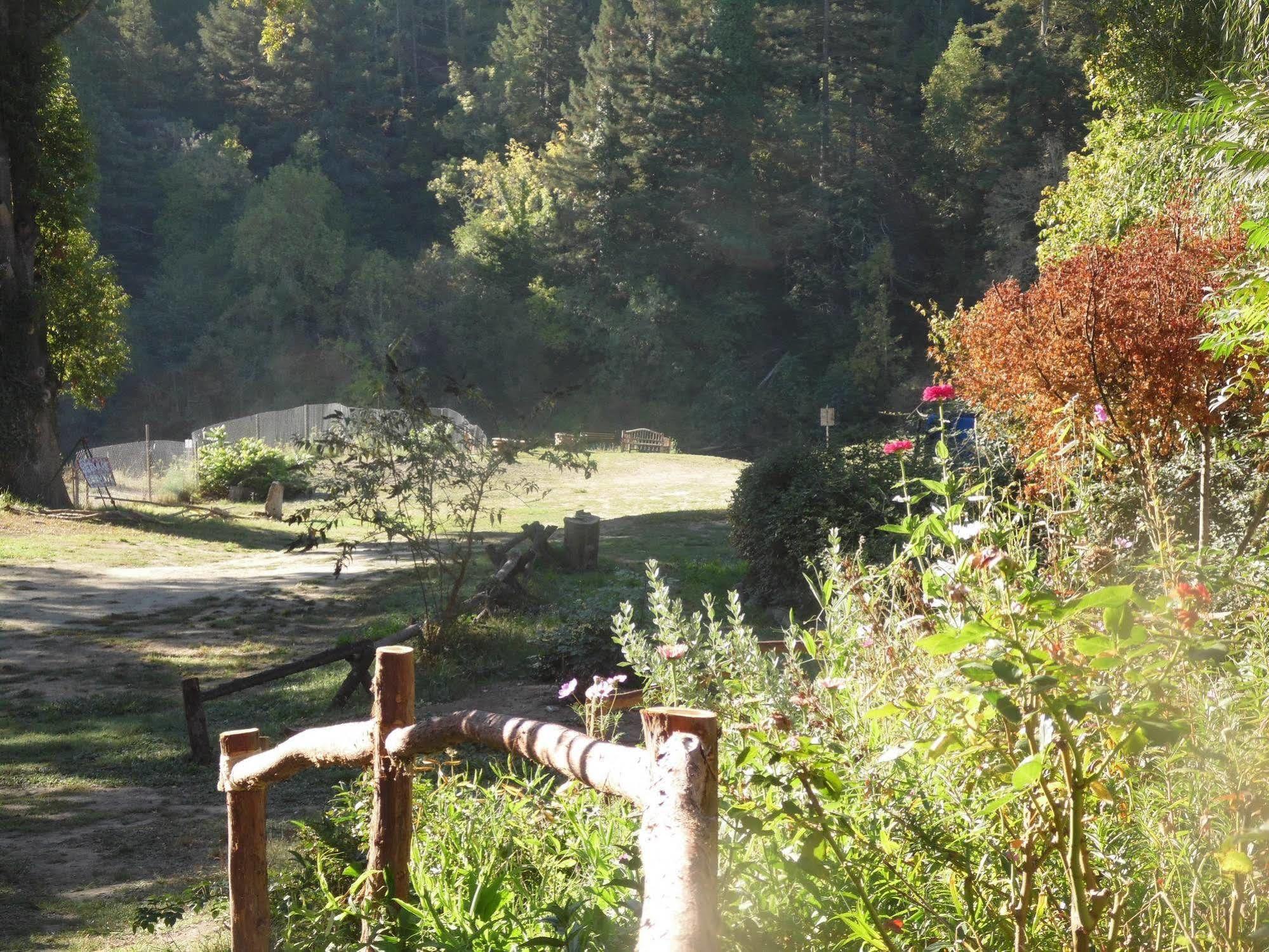 Riverlane Resort Guerneville Zewnętrze zdjęcie
